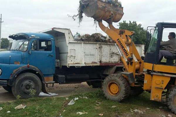 Despliegan operativos de limpieza y mejoramiento de calles y predios en diferentes sectores de la ciudad