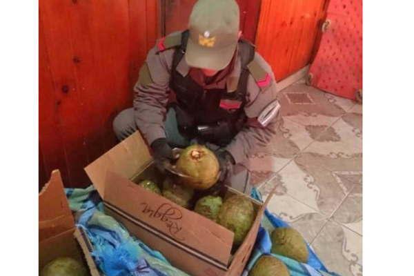 Los narco cocos cayeron en Jujuy con  14 kilos de cocaiacutena