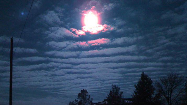 Las Trompetas del Apocalipsis habriacutean vuelto a ser escuchadas en Argentina