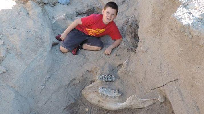 Un nintildeo tropezoacute y descubrioacute un foacutesil de la Era del Hielo