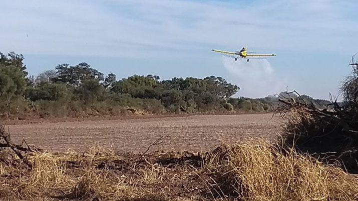 Atacan con plaguicidas a las mangas de langostas
