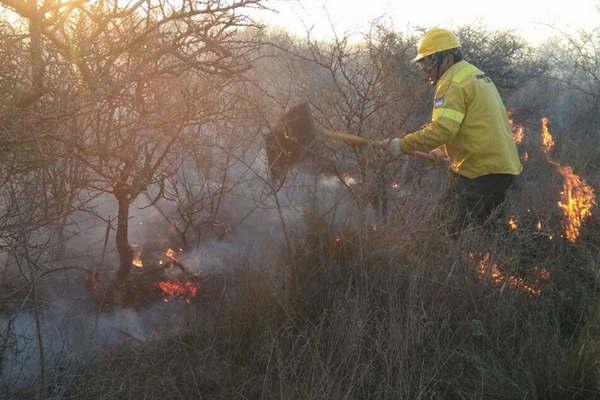 Incendio forestal consumioacute 100 hectaacutereas en el sur provincial sembrando paacutenico en pobladores