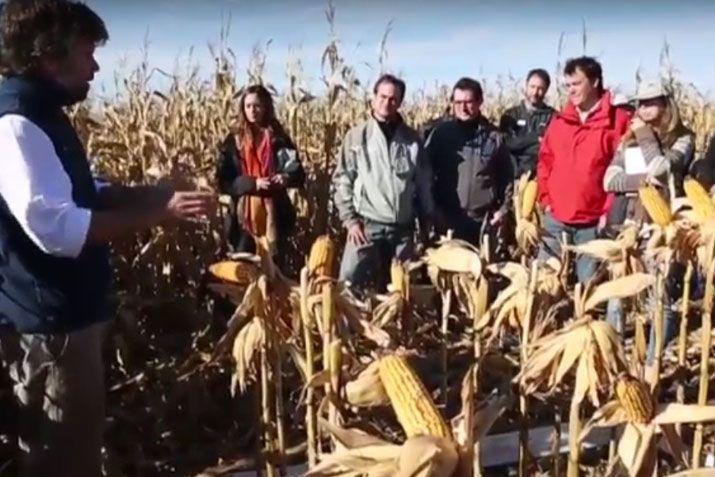 Se trata de un novedoso sistema por el cual el productor puede brindar los datos de su lote