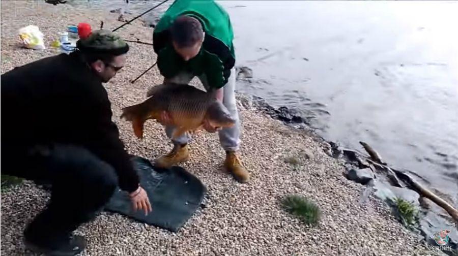 Video- El bochornoso momento de un pescador