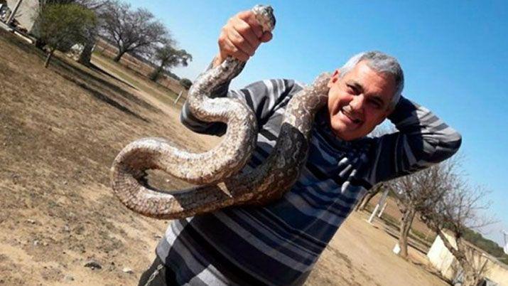 Encontraron viacuteboras gigantes en una escuela- una pesaba 50 kilos