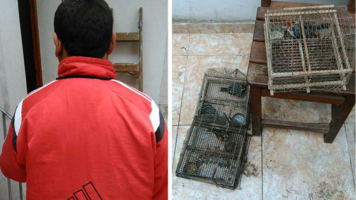 Roboacute jaulas con pajaritos y quedoacute detenido