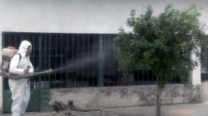 Erradicaron planta de mirto por enfermedad que mata los ciacutetricos