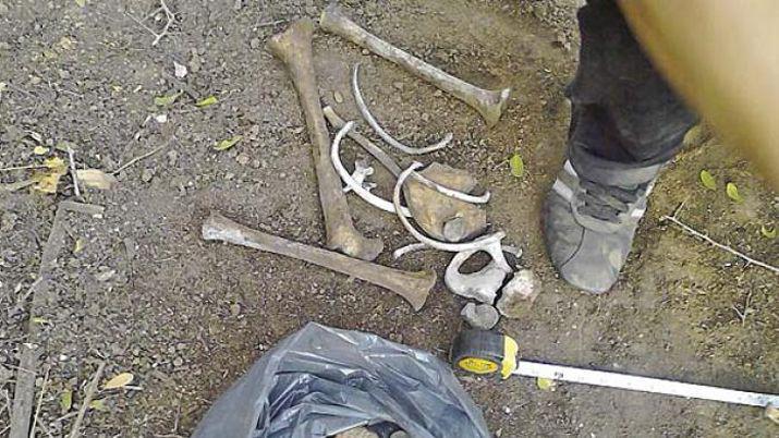 Encuentran restos oacuteseos en Los Mojones