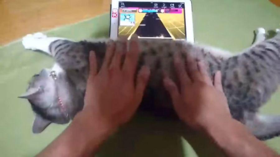 Un japoneacutes utiliza a su gato como un joystick en un videojuego