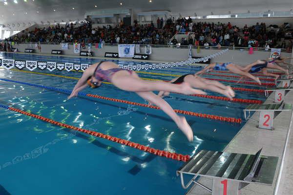 Santiago seraacute sede del Argentino de natacioacuten