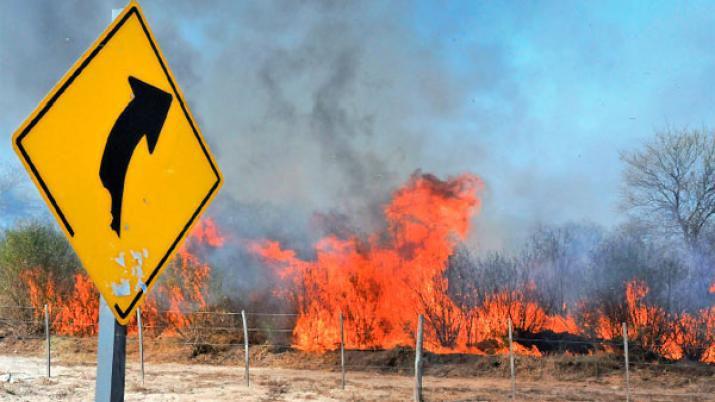 Voraz incendio puso en peligro a una escuela de Sauce Bajada