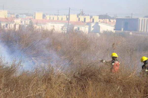 Aconsejan no quemar pastizales en baldiacuteos para evitar incendios