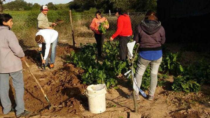 Mejoran huertas comunitarias para lograr un mayor rendimiento