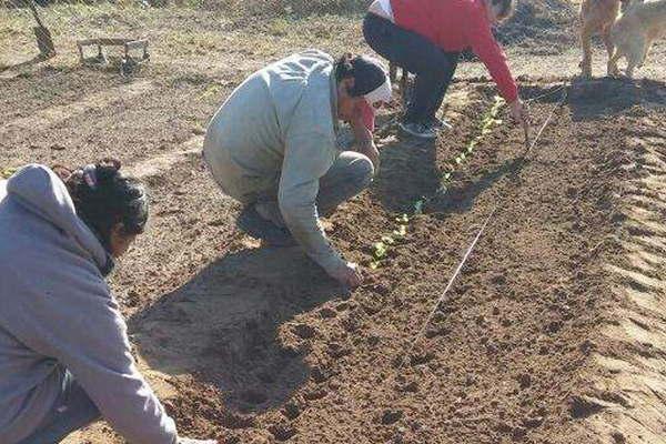 Firmaron convenio para favorecer  la Agricultura Familiar en Medelliacuten