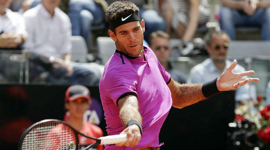 Juan Martín del Potro