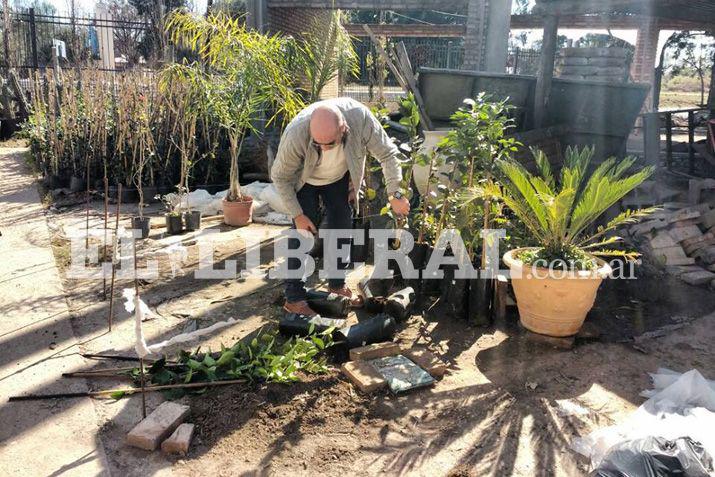 El procedimiento fue concretado por el Senasa y se desarrolló en un vivero a cielo abierto