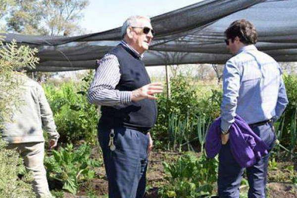 Curso de Formacioacuten Profesional  en Produccioacuten Orgaacutenica de Semillas
