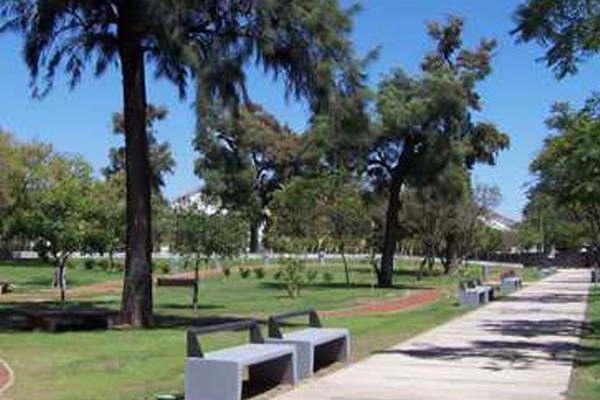 Disponen obras de refaccioacuten y arbolado en los espacios verdes de la ciudad