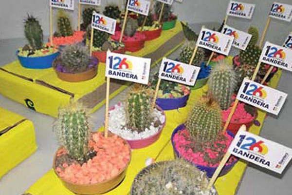Taller sobre cultivo de cactus