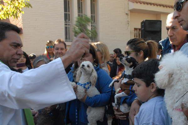 Hoy habraacute bendicioacuten  de mascotas en la parroquia San Roque