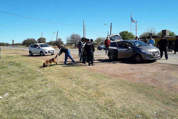 Bruja delatoacute que dos ciudadanos saltentildeos llevaban 13 cigarros de marihuana