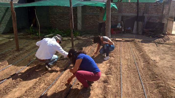Capacitan a agricultores en construccioacuten de una huerta familiar