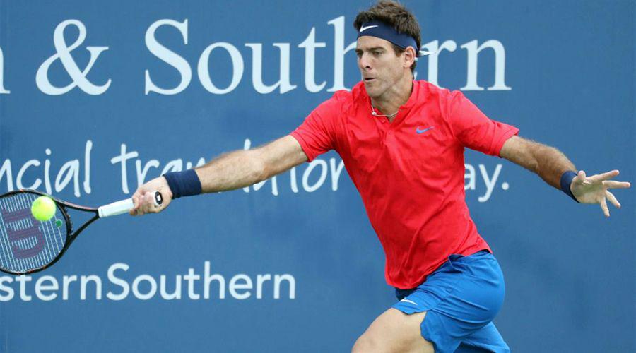 Juan Martiacuten Del Potro cayoacute ante Grigor Dimitrov en Cincinnati