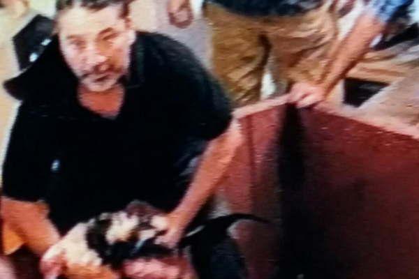 Un pizzero de Friacuteas se luce en Un gallo para Esculapio