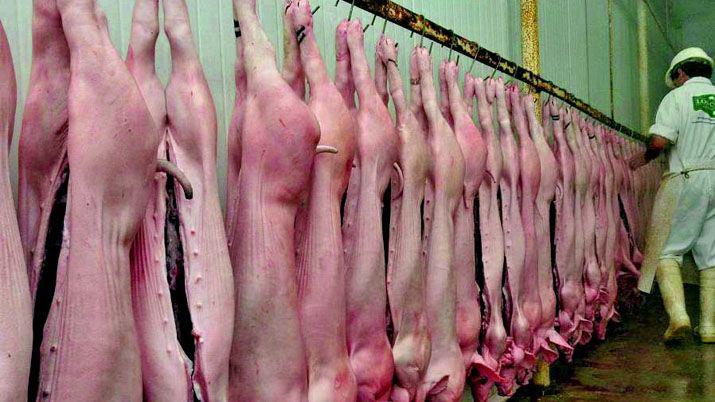 Cruces entre el Gobierno y productores por la importacioacuten de carne de cerdo de EEUU