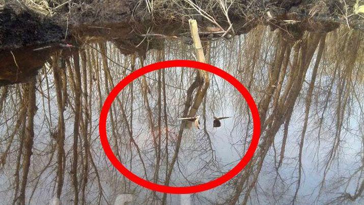 Encontraron el avión que estaba desaparecido Foto- Infobae