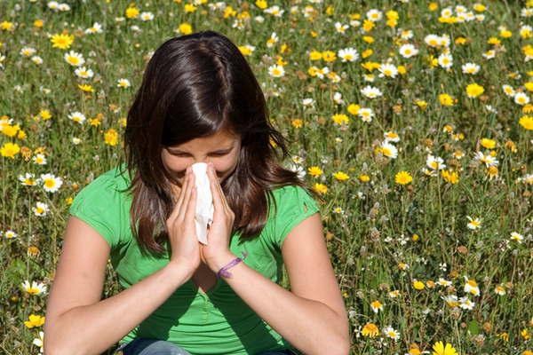 Crecieron los casos de alergias tras la floracioacuten de algunas plantas