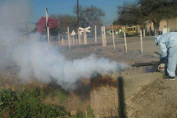 Realizan fumigacioacuten como prevencioacuten del dengue