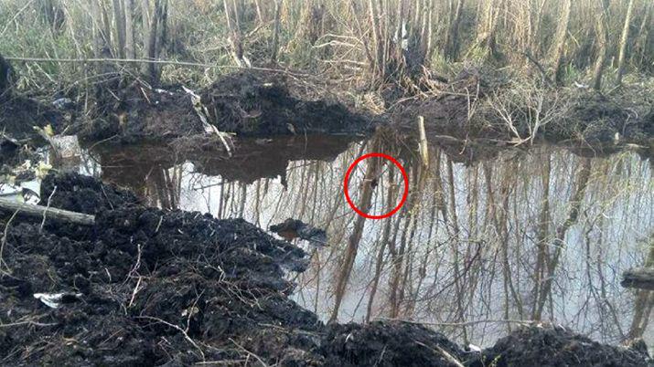 Encontraron restos humanos en la avioneta que cayoacute en Paranaacute