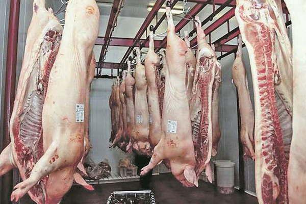 Advierten sobre la importacioacuten de carne porcina desde Estados Unidos