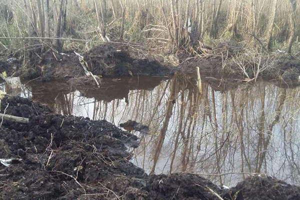 Hallaron restos humanos en el lugar donde cayoacute la avioneta