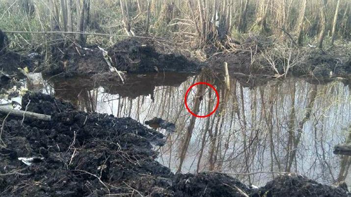 Confirman que no hay sobrevivientes de la tragedia de la avioneta en Paranaacute