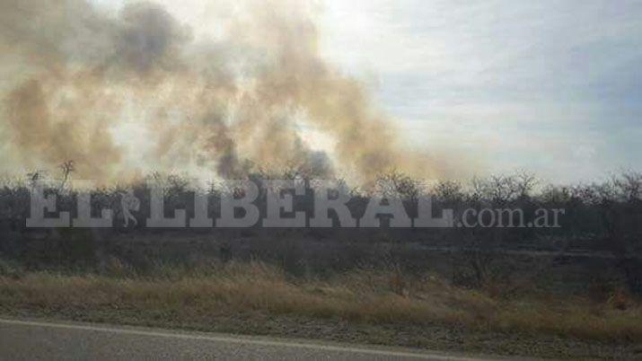 Impresionante quema de campos en Los Telares