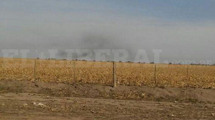 VIDEO Impactante manga de langostas ingresa por el Norte de Santiago