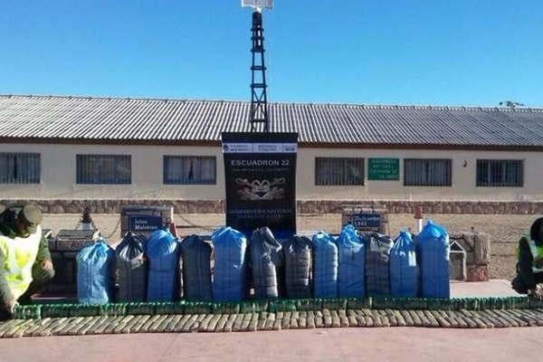 Decomisan 440 kilos de hojas de coca