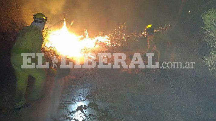 Controlan incendios forestales en Los Telares