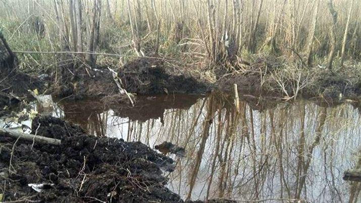 Removieron los dos motores de la avioneta estrellada en el Paranaacute