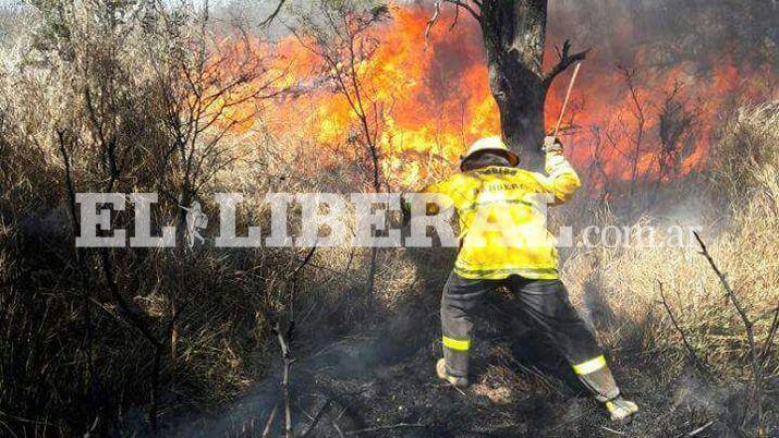 Un incendio en un campo causoacute temor entre los lugarentildeos