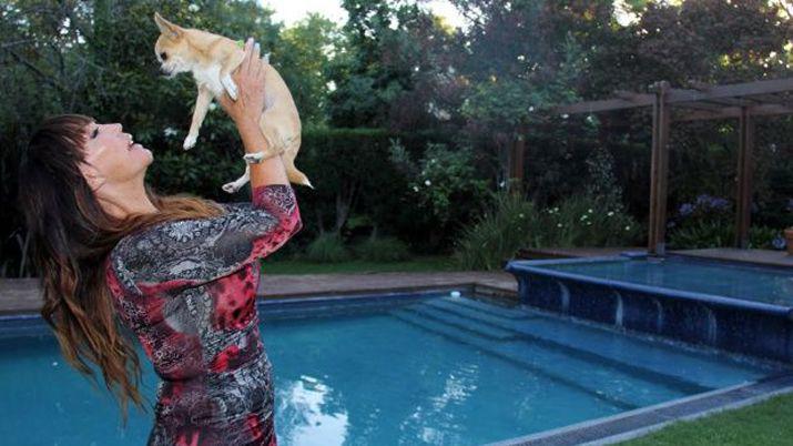 Moria Casaacuten triste por la muerte de su chihuahua Kristoacutebal