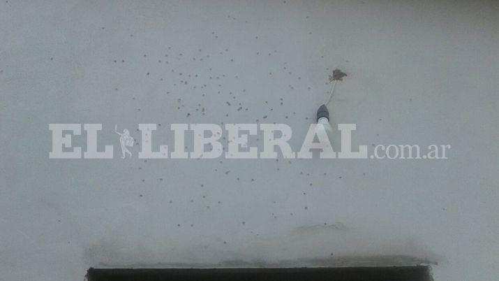 Vecinos aseguran que Monito les tiroteoacute la casa y piden seguridad