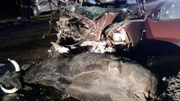 Fallecioacute una de las mujeres que iba en el utilitario que chocoacute contra un toro