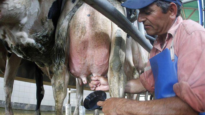 Brasil podriacutea restringir la importacioacuten de leche en polvo argentina
