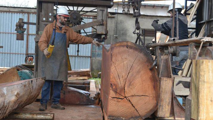 La industria de la madera genera maacutes de mil puestos laborales