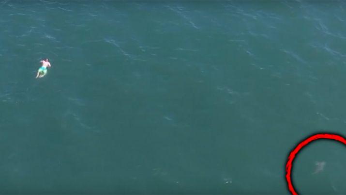 Quiso huir de la Policiacutea y casi se lo come un tiburoacuten