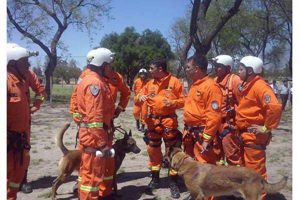 Caso Maldonado- canes santiaguentildeos aportan pistas en la investigacioacuten