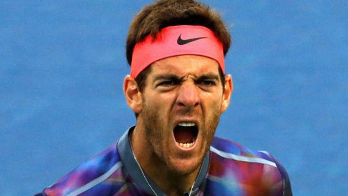El tuit de Federer a Del Potro admirando su juego